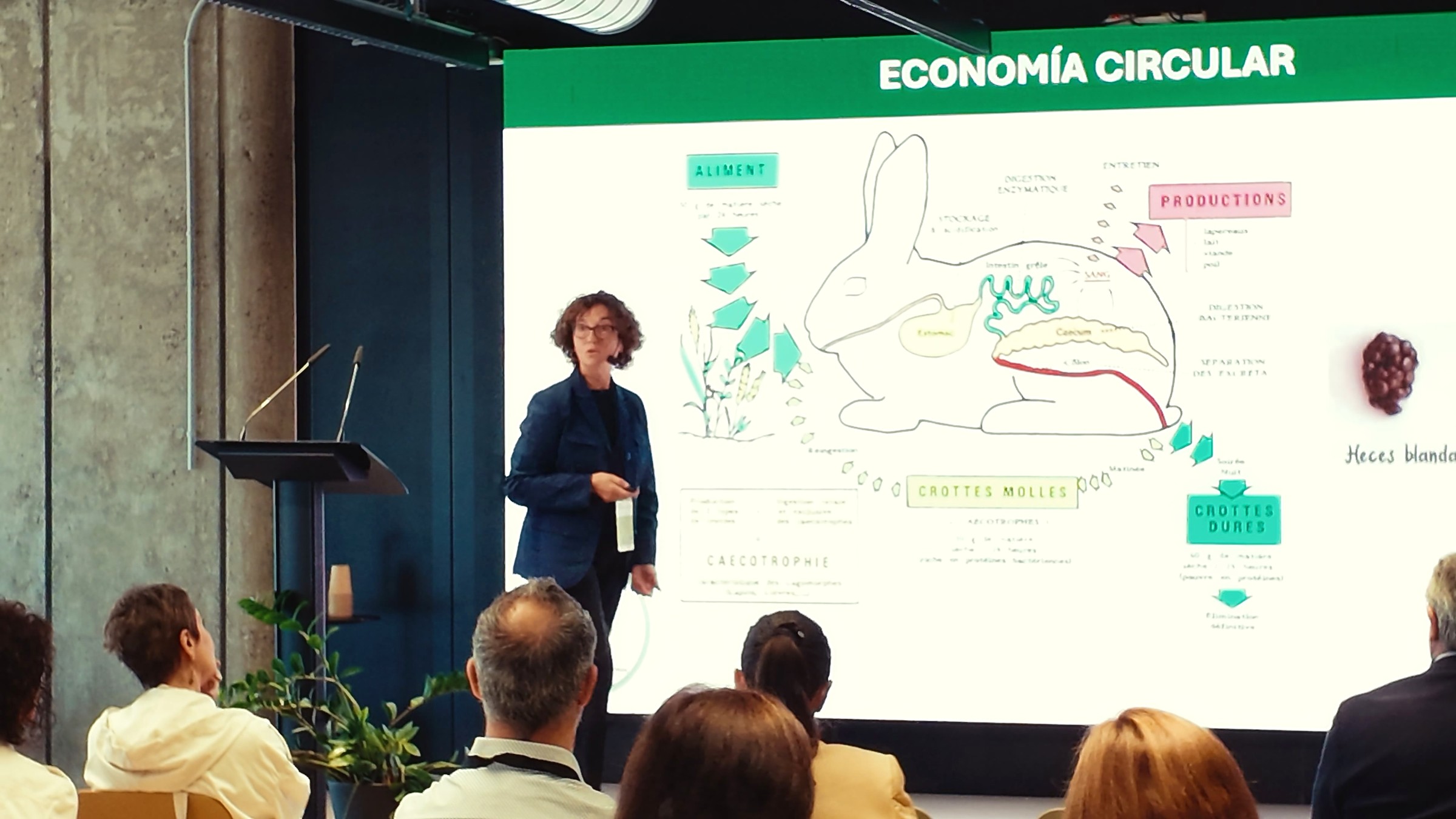 Ana Barroeta: sostenibilidad desde el origen