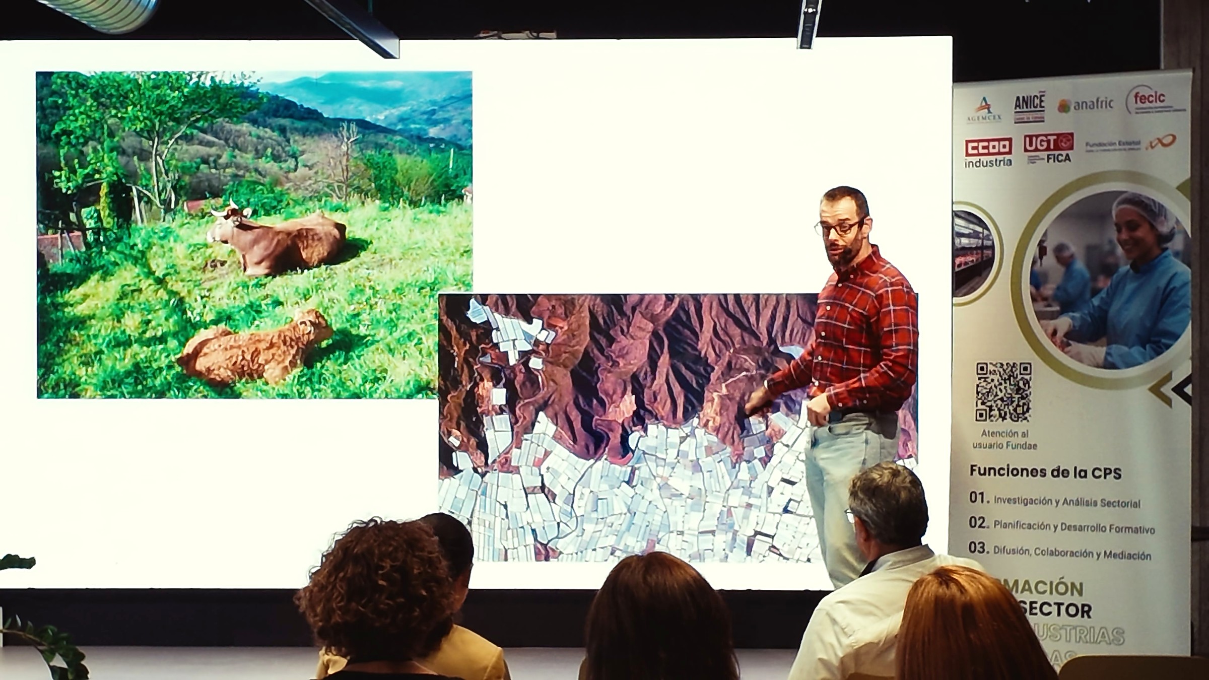 Fernando Estellés: impactos ambientales y contexto